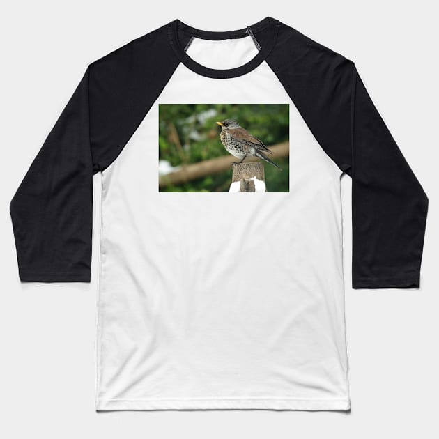 Fieldfare Baseball T-Shirt by Simon-dell